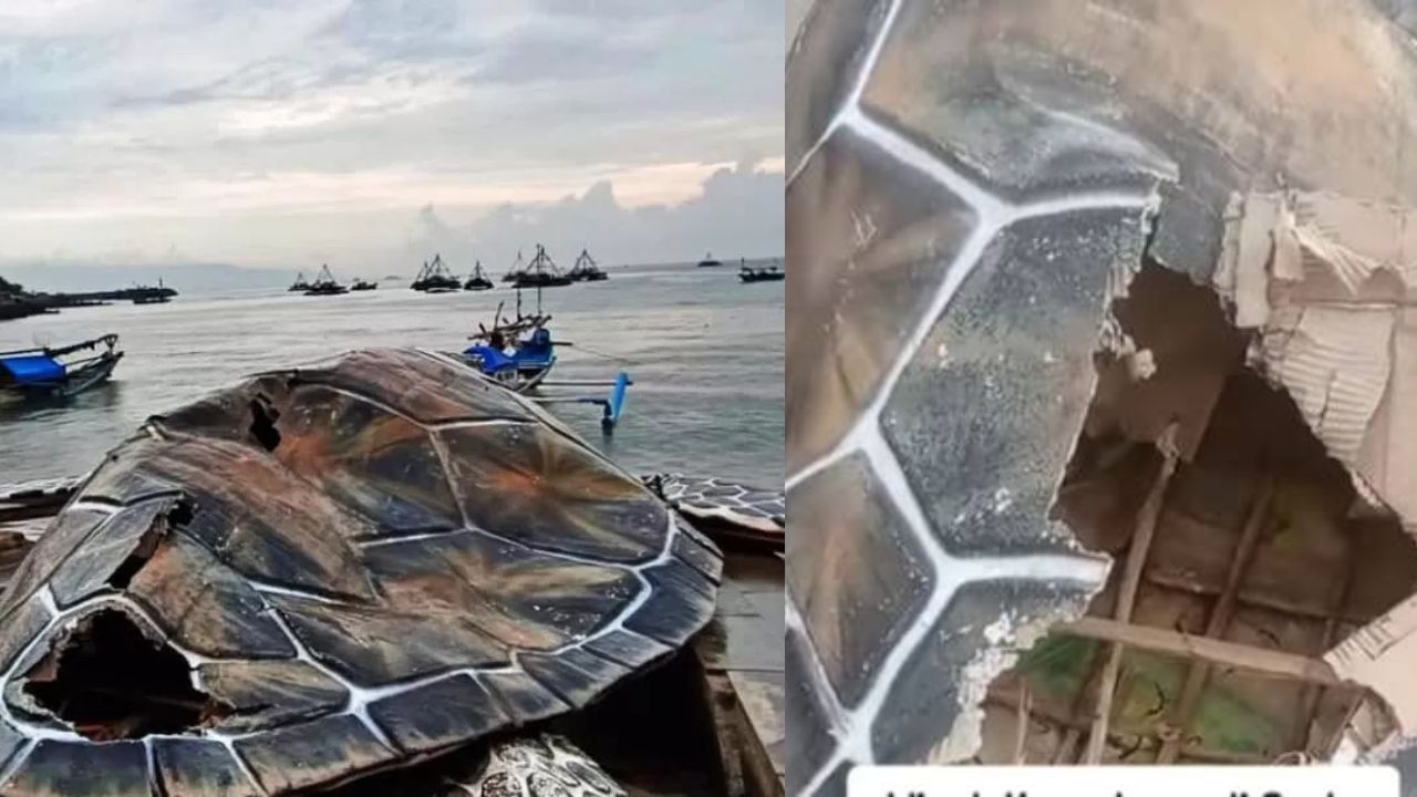 Viral! Patung Penyu di Alun-Alun Gadobangkong: Dari Kardus atau Resin?