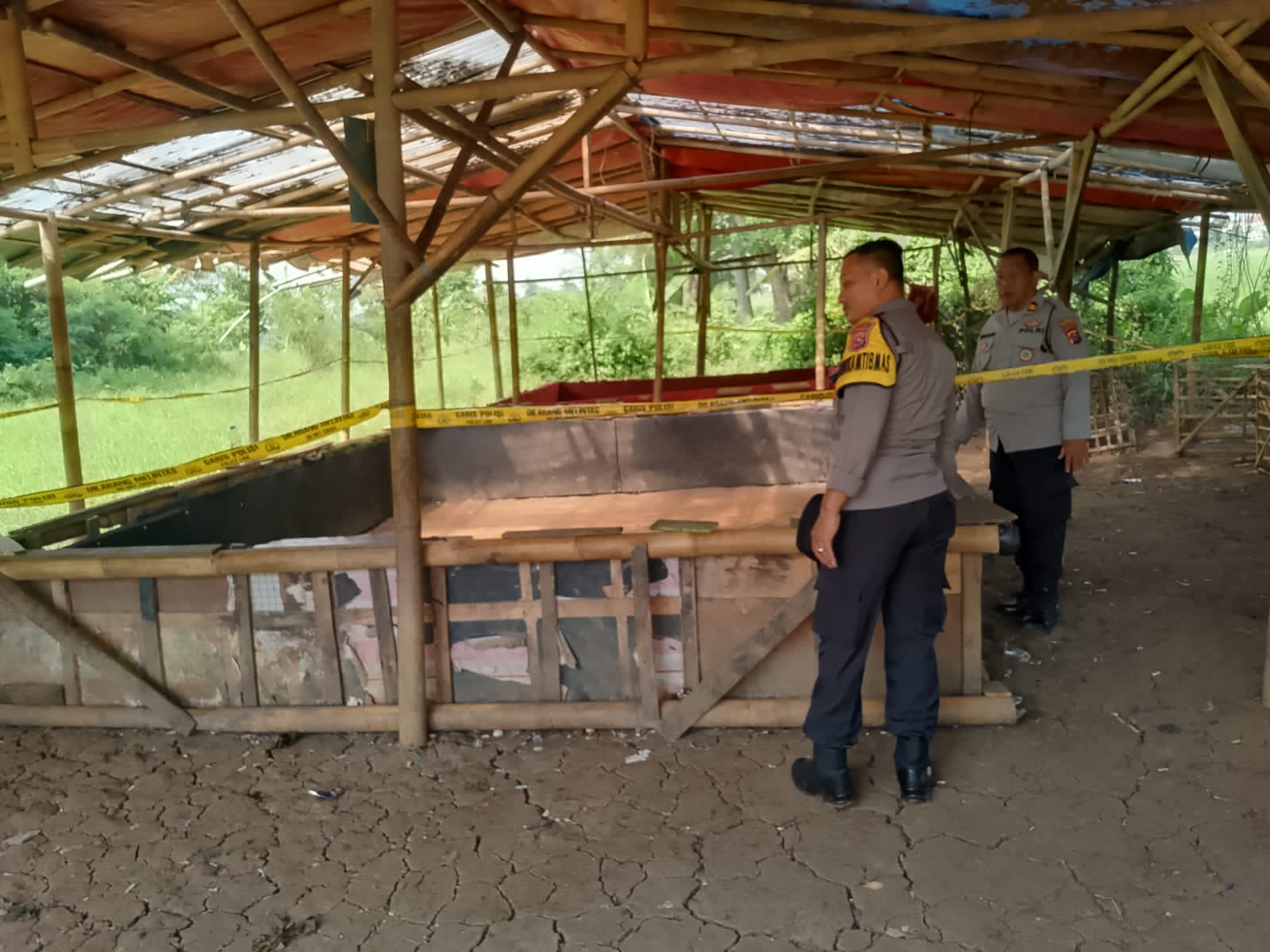 Polisi Grebek Arena Sabung Ayam di Pasar Kemis Kabupaten Tangerang